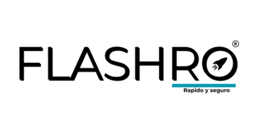 FLASHRO STORE